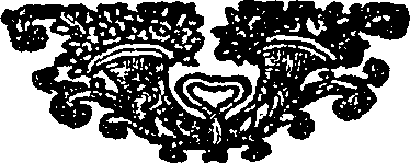 085/085060050000520_0.png