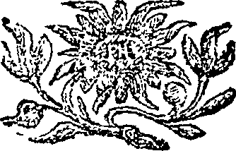 085/085060050000680_0.png