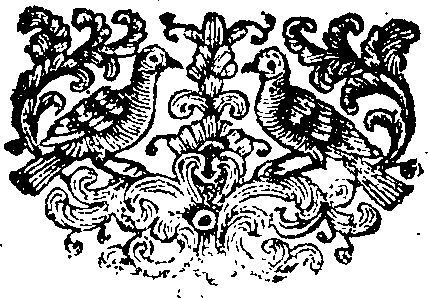085/085060060002240_0.png