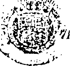 085/085100020100030_0.png