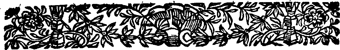 085/085180030000150_1.png