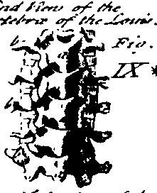 085/085200010101180_1.png