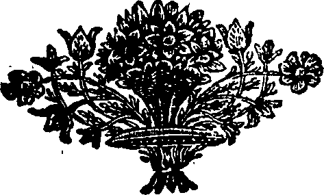 085/085200010102080_0.png