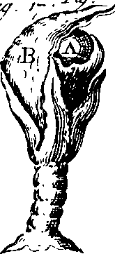 085/085210010202020_3.png