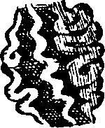 085/085210010202020_4.png