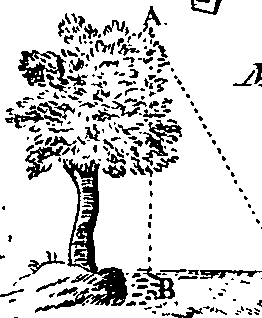 085/085210010202530_5.png