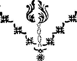 085/085240010002660_0.png