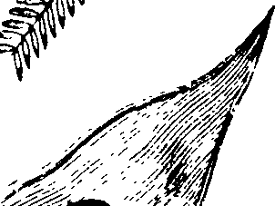 085/085300030004290_0.png