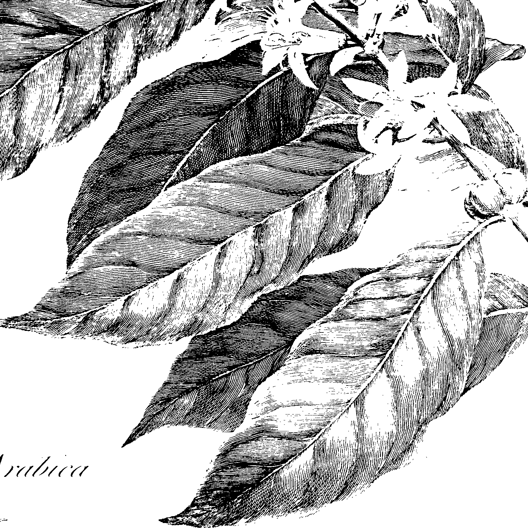 085/085300030004780_0.png