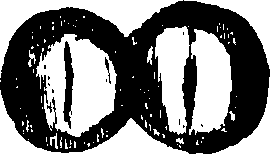 085/085300030004790_0.png