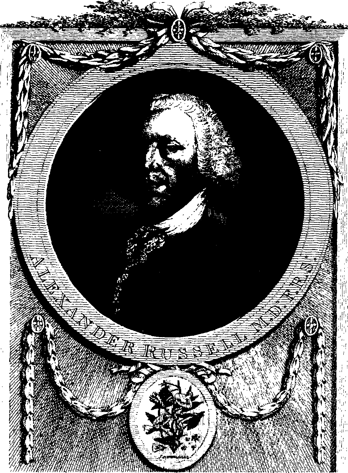 085/085300030005210_0.png