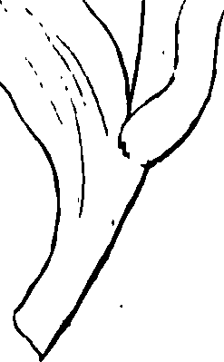 085/085310010000020_0.png