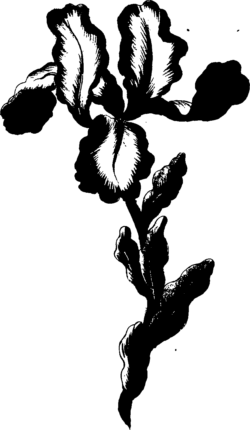 085/085310010000330_0.png