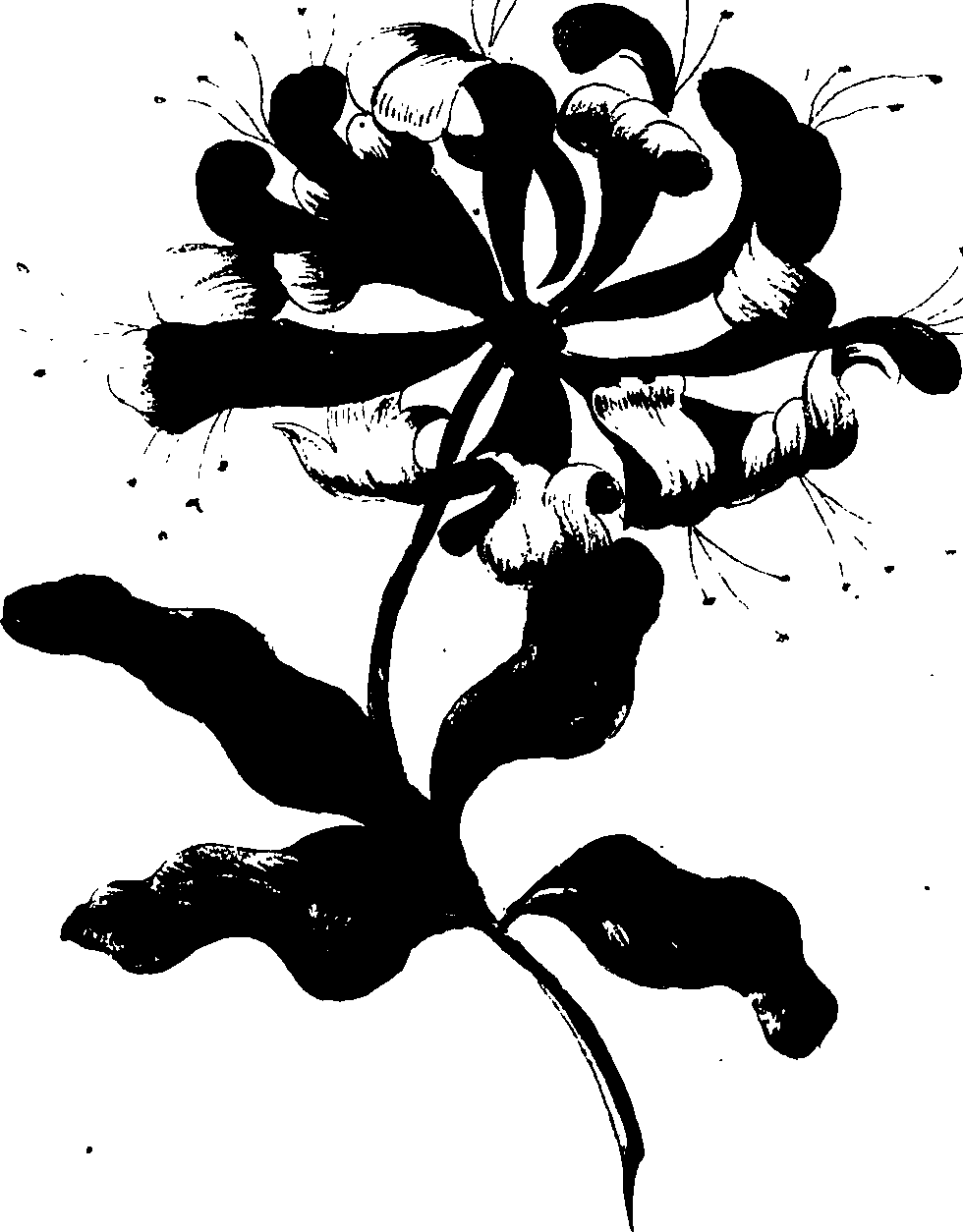 085/085310010000340_0.png