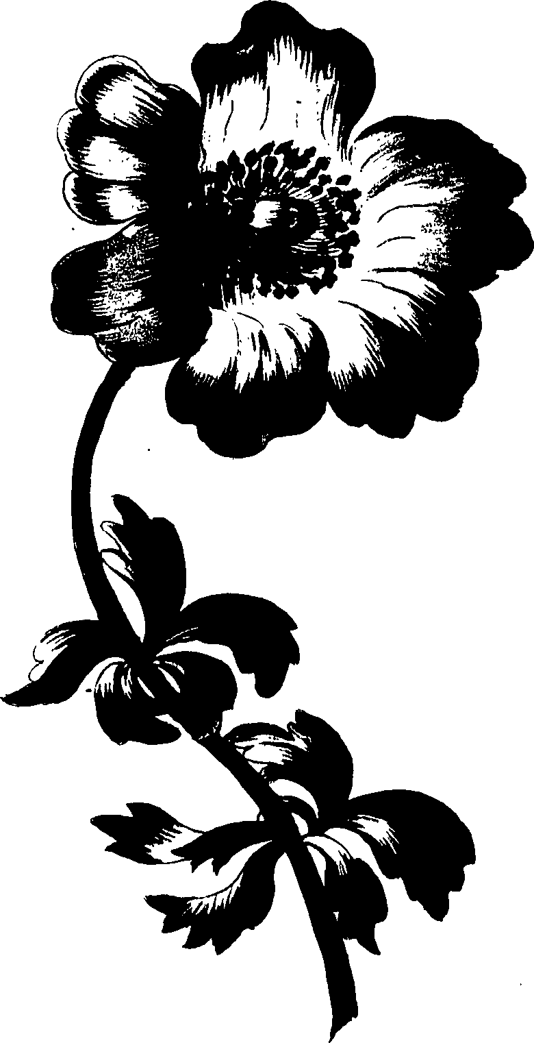 085/085310010000450_0.png