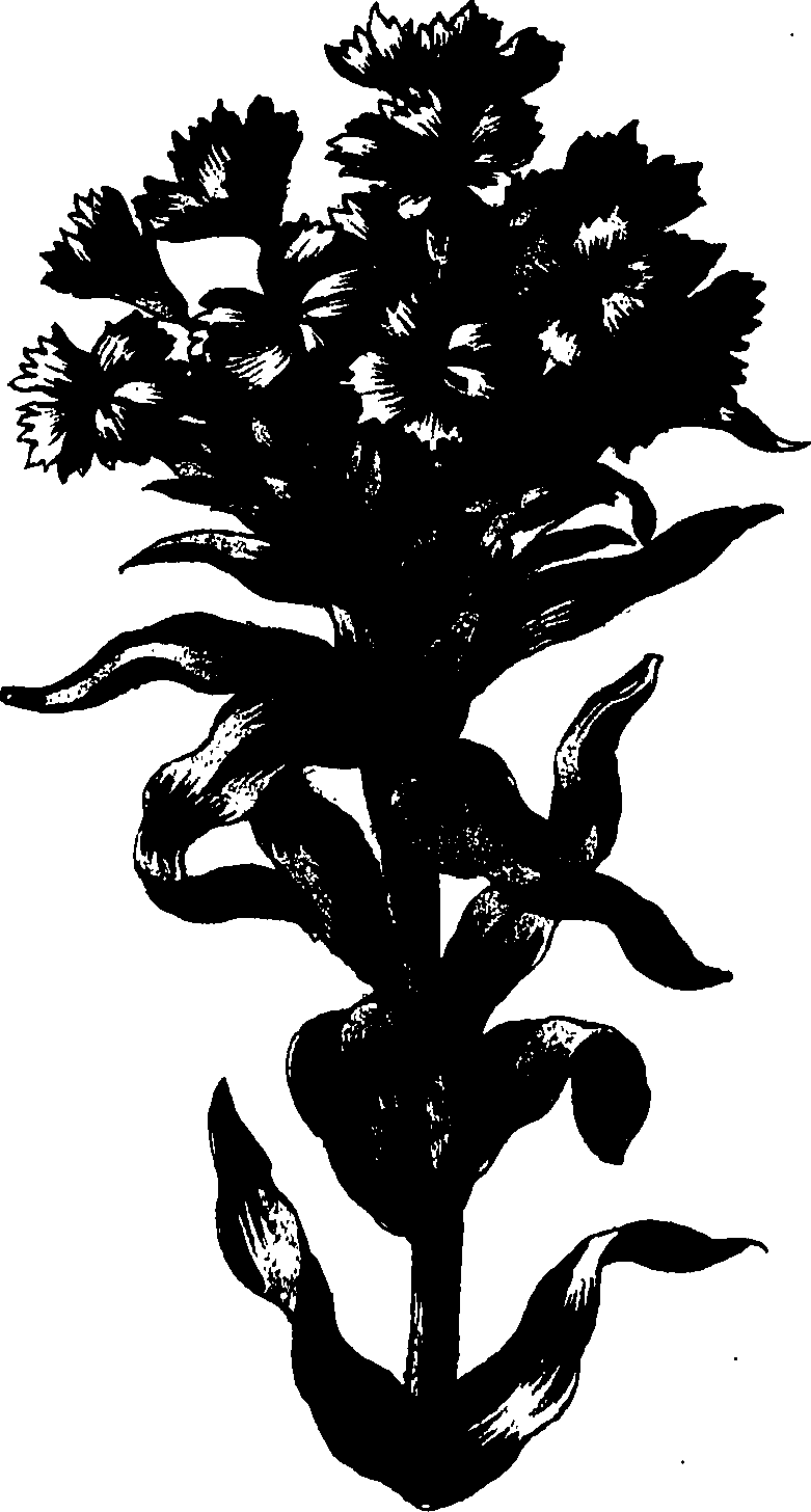 085/085310010000560_0.png