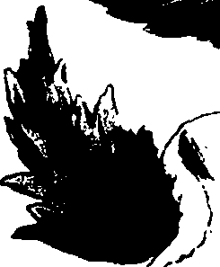 085/085310010000630_0.png
