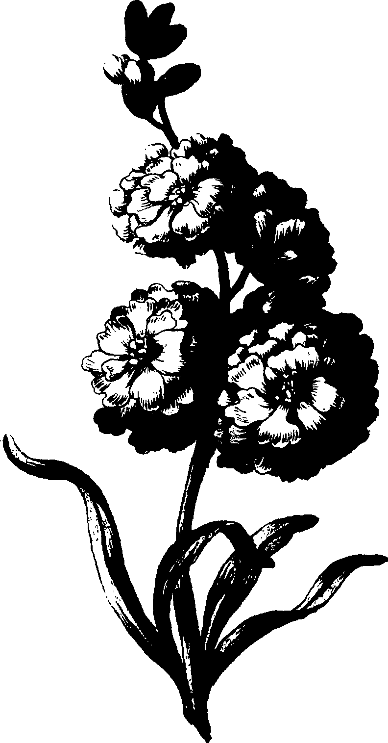 085/085310010000690_0.png