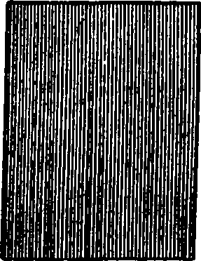 085/085310040001850_1.png