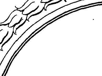 085/085310040001960_1.png