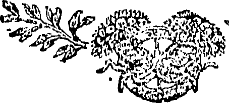 085/085320020000570_0.png