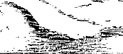 085/085320020000790_0.png