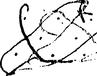 085/085320020004740_0.png