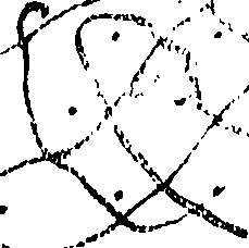 085/085320020004740_1.png