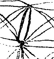 085/085320020004740_2.png