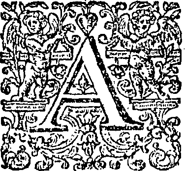 085/085330010002360_0.png