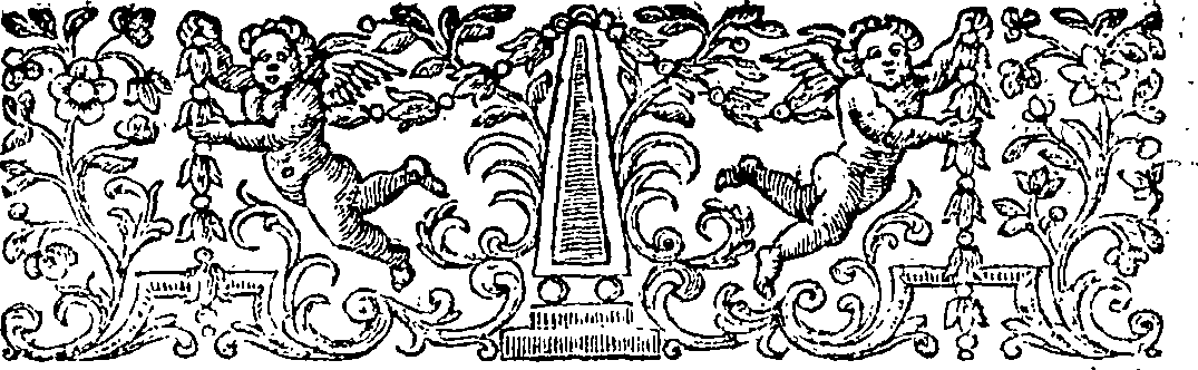 085/085330010002360_1.png