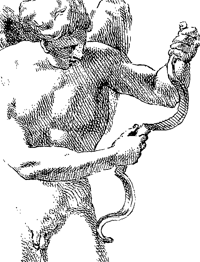 085/085330040000020_1.png