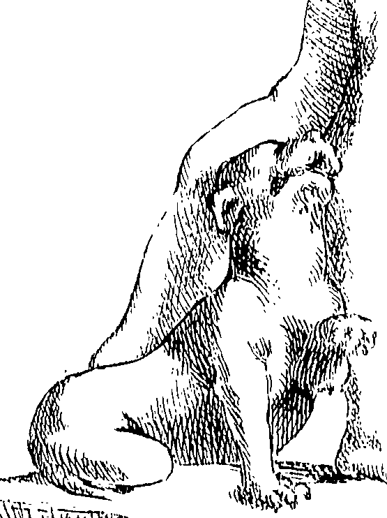 085/085330040000060_0.png