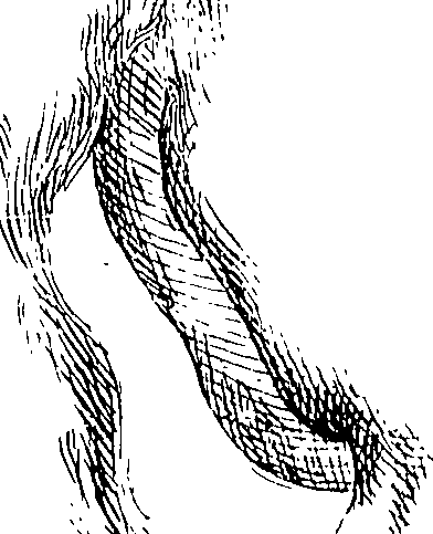 085/085330040000100_1.png