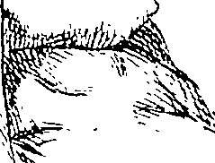 085/085330040000100_2.png