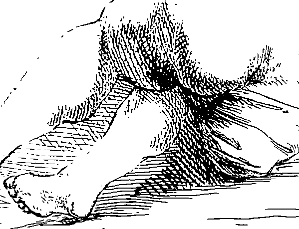 085/085330040000110_0.png