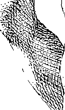 085/085330040000150_0.png
