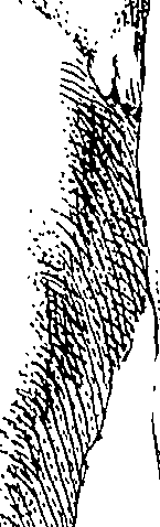 085/085330040000150_1.png