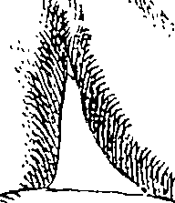 085/085330040000170_0.png