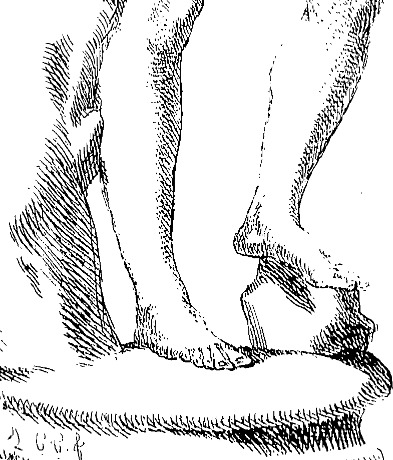 085/085330040000180_0.png