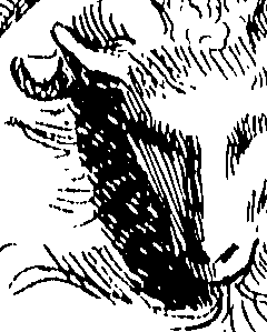 085/085330040000230_0.png