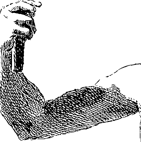 085/085330040000280_1.png