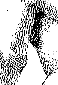 085/085330040000310_0.png