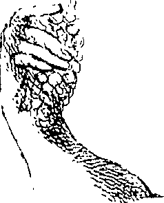 085/085330040000400_1.png