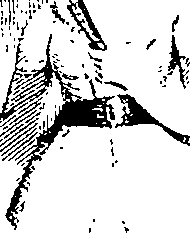085/085340020000020_1.png