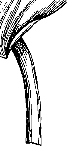 085/085350050000040_0.png