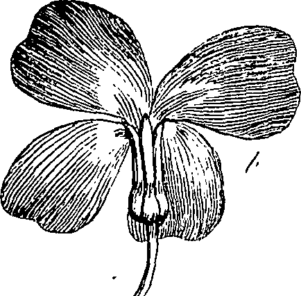 085/085350050000060_0.png