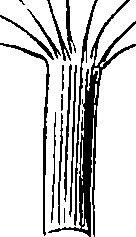 085/085350050000090_0.png