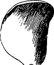 085/085350050000090_1.png
