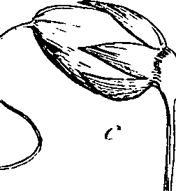 085/085350050000120_0.png